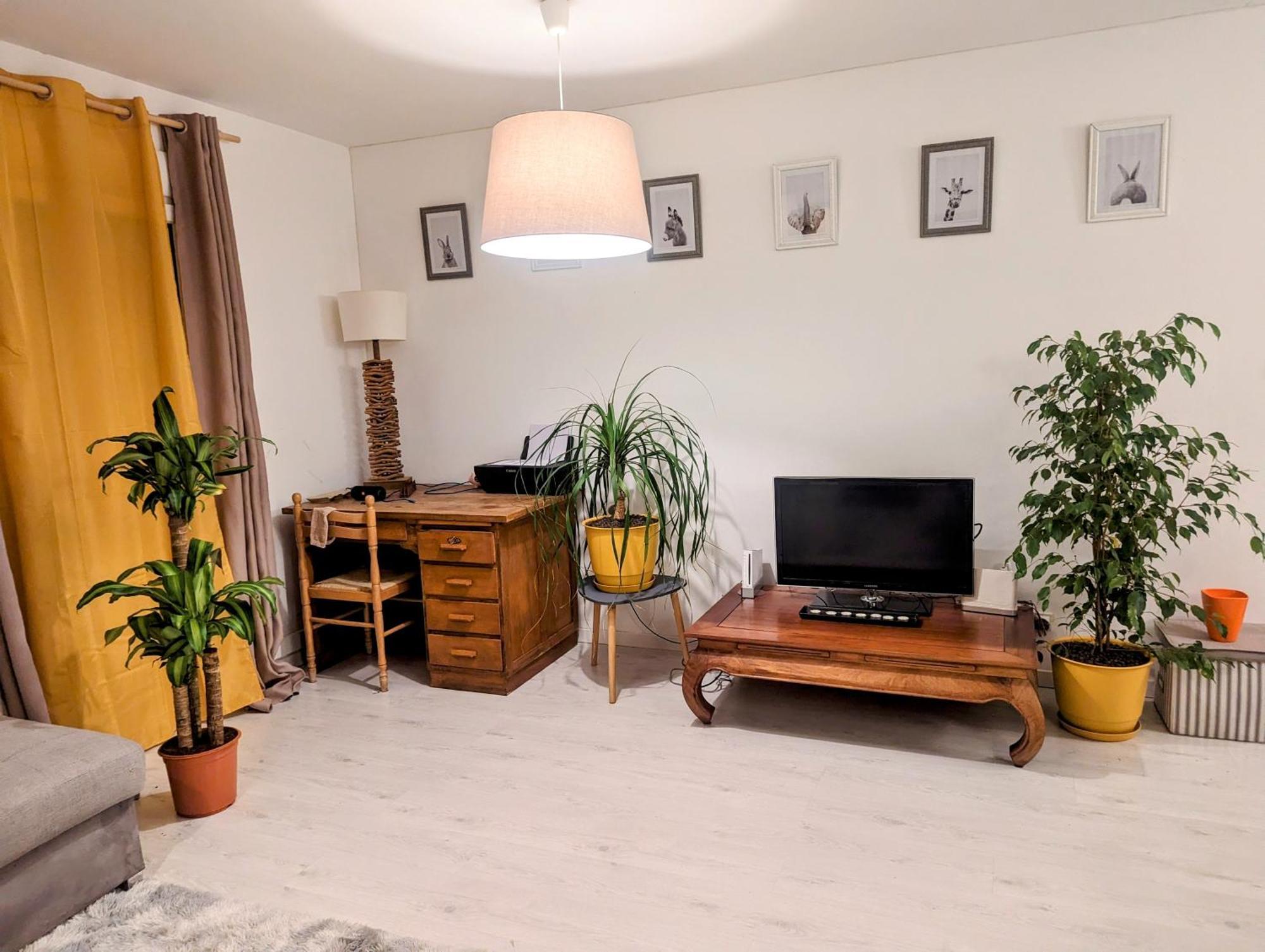 Appartement Cocooning Perpignan Extérieur photo